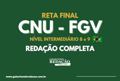 RETA FINAL CNU