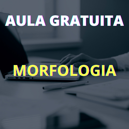PORTUGUÊS BÁSICO / MORFOLOGIA PORTUGUÊS BÁSICO / MORFOLOGIA